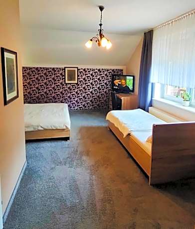 Large Double or Twin Room