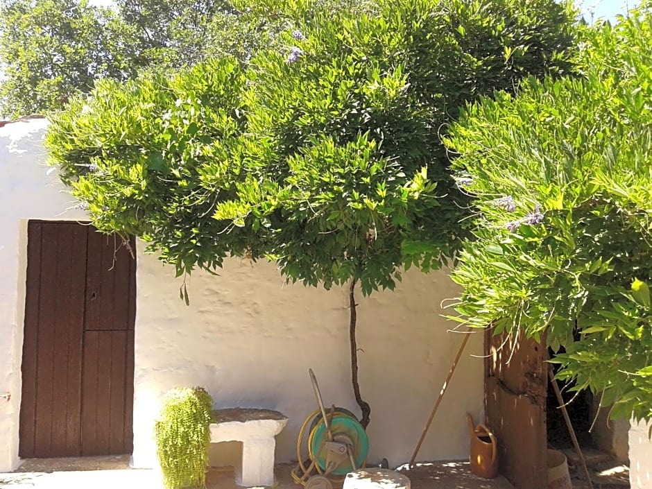 B&B Bell'aria – Monopoli, LA