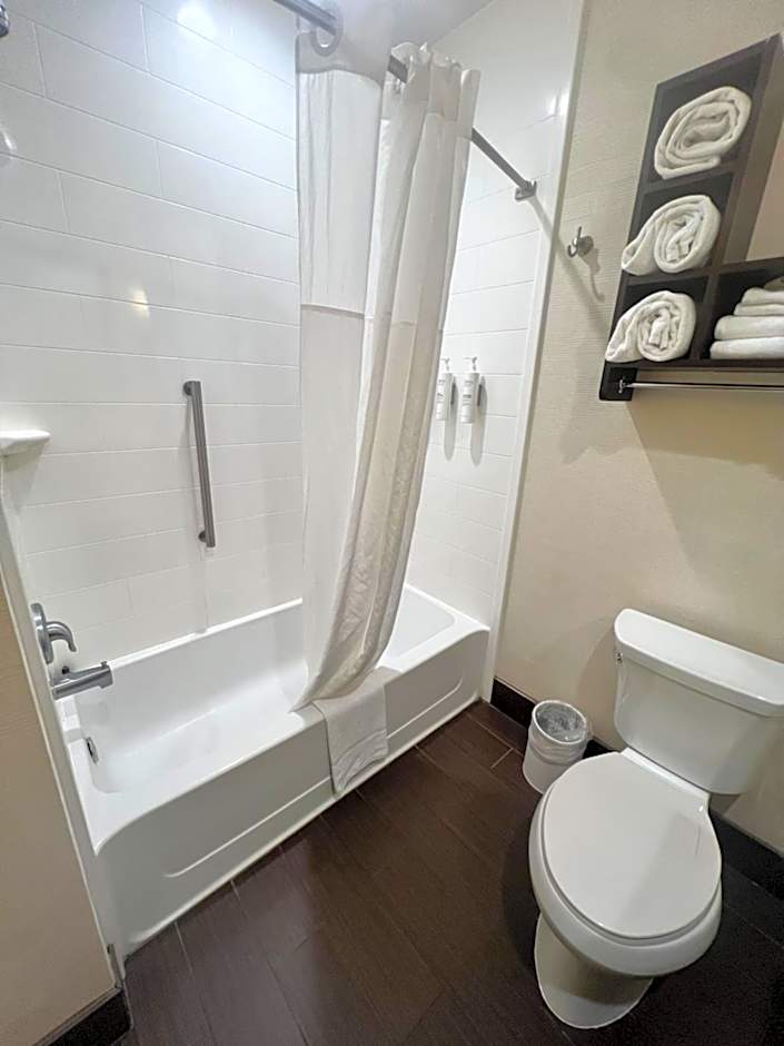 Hampton Inn By Hilton & Suites Stroudsburg Bartonsville