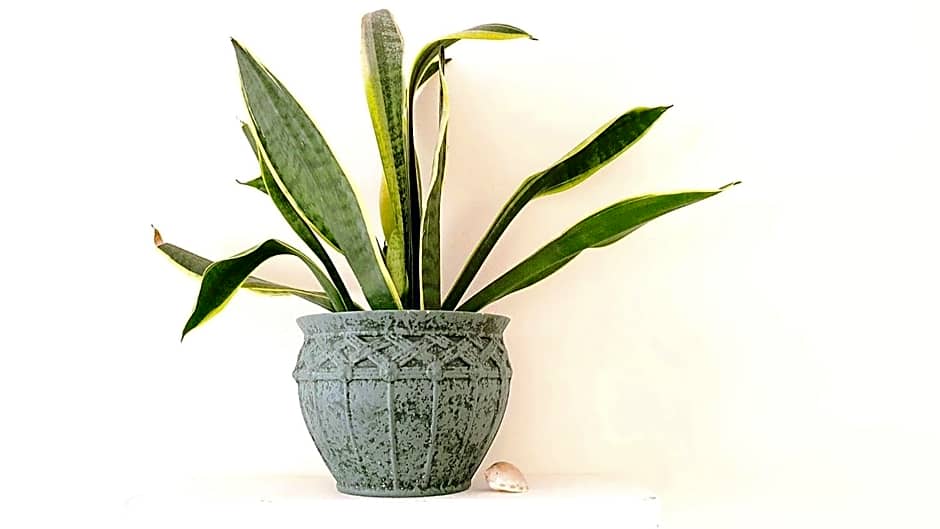 Green Element Guesthouse