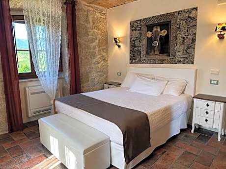 Double Room with Terrace