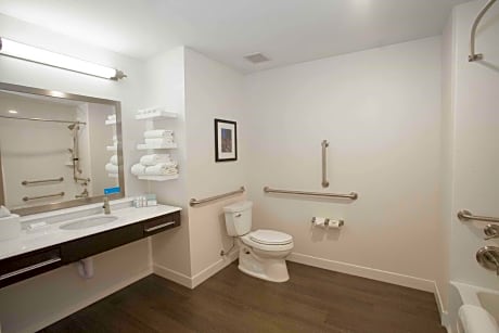 1 King Accessible Roll In Shower Non-Smoking