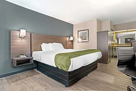 King Room - Accessible/Non-Smoking