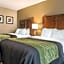 Comfort Inn & Suites Piqua-Near Troy-I75
