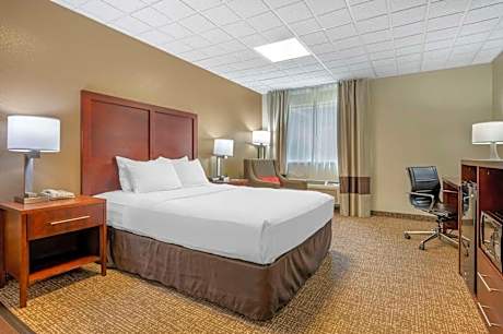 1 Queen Bed, Nonsmoking