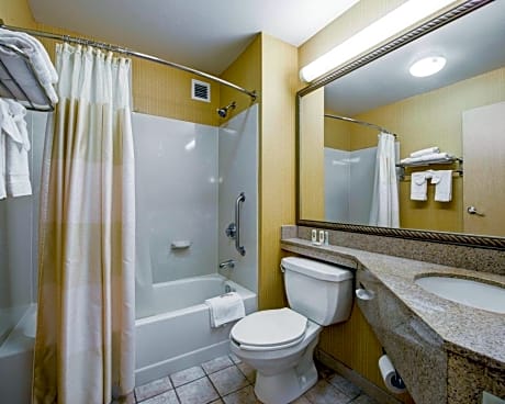 Standard Room, 1 King Bed, Non Smoking