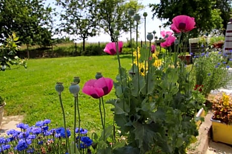 LE Gîte DE LA GRANGE DE BROUSTIC