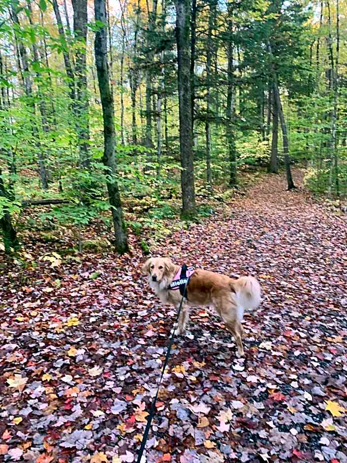 Au Gré Du Temps - Gîte B&B