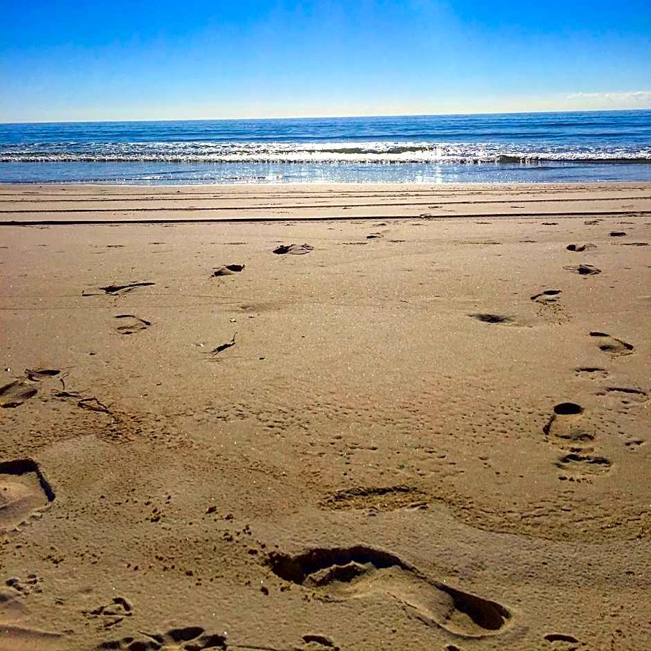 Kirra Surf Apartments