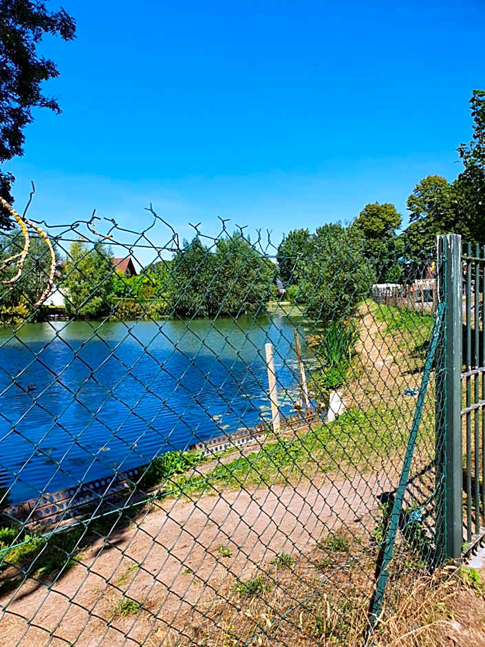 Les Insolites du Brochet