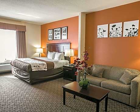 1 King Bed, Suite, No Smoking, Accessible Room