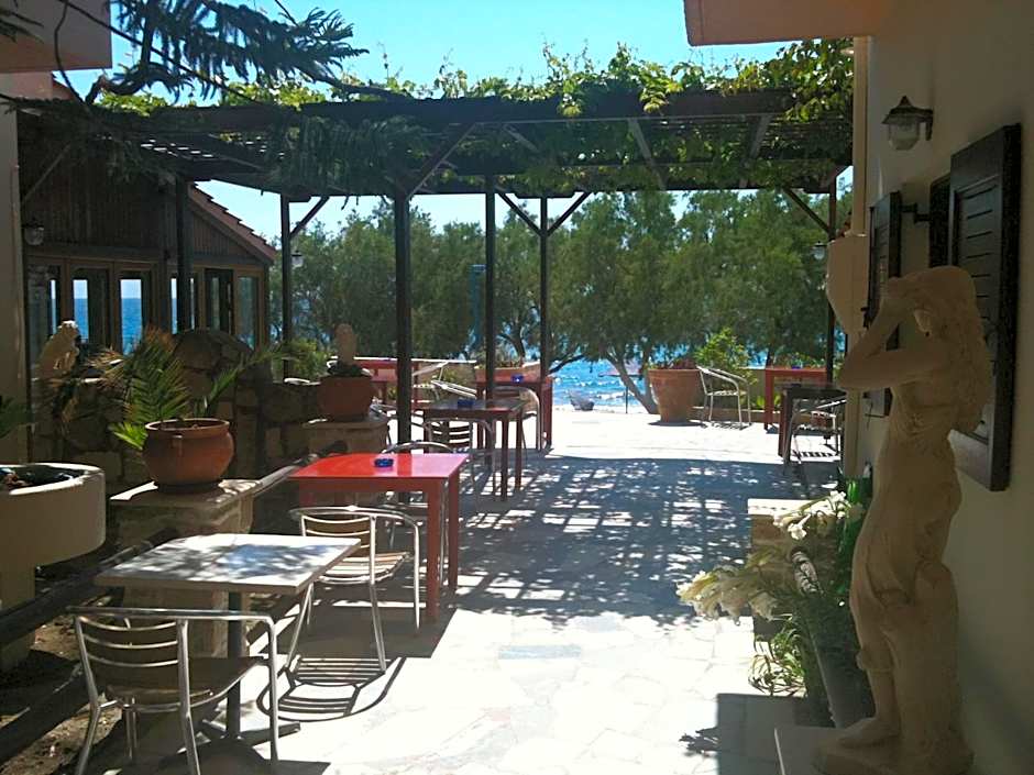 Alexander Beach Hotel