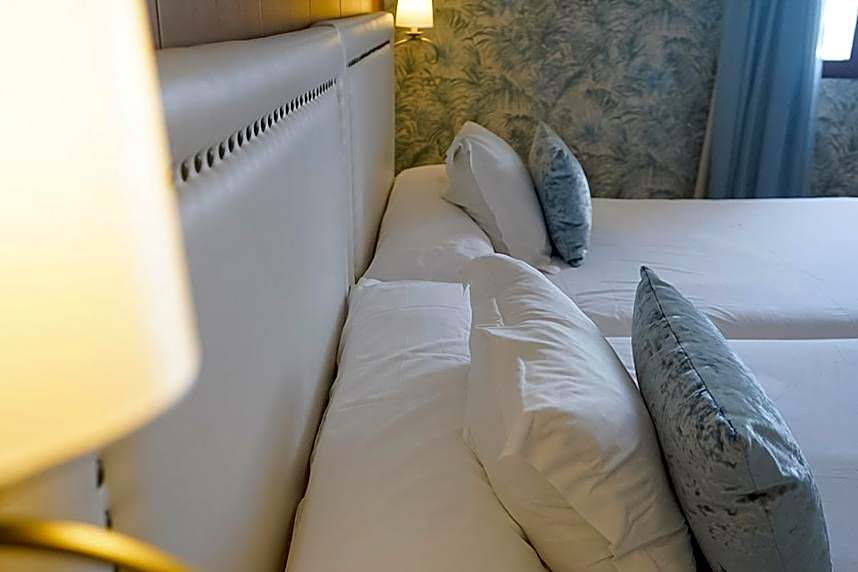 Hotel Rosaleda Don Pedro