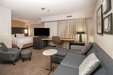 Studio, 1 King Bed with Sofa bed (1 King Bed and 1 Double Sofa Bed)