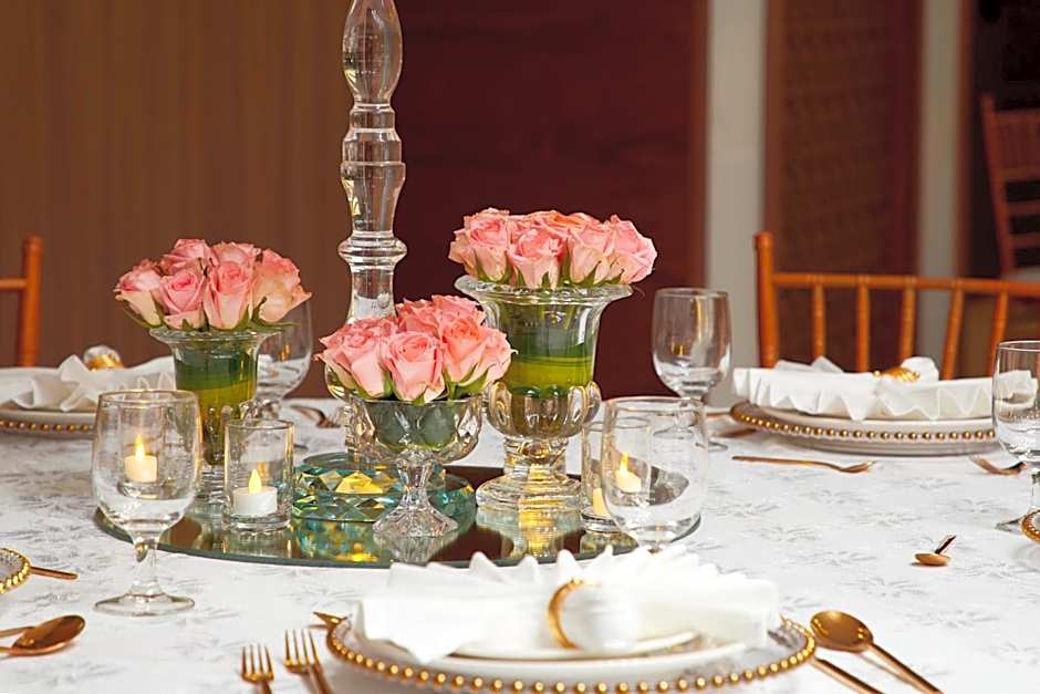Royal Tulip Muscat