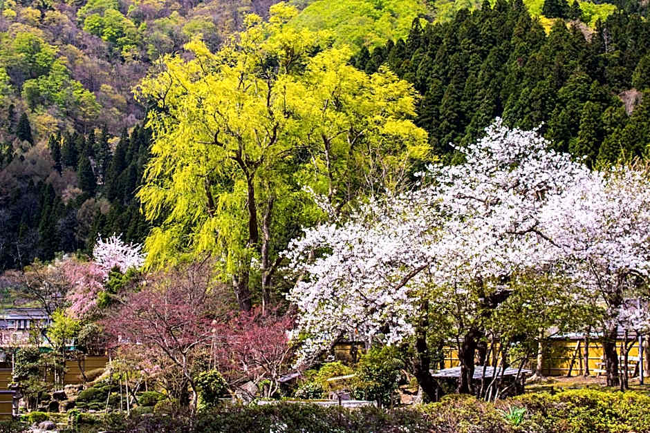 Kansyokan