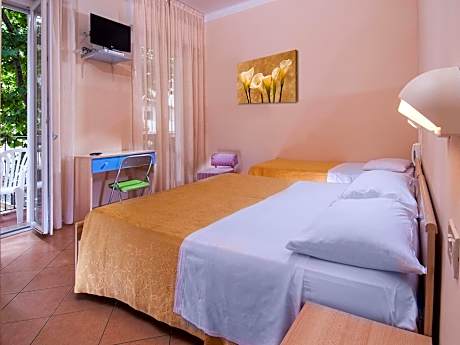 Basic Triple Room
