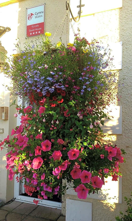 Min y Don Guest House