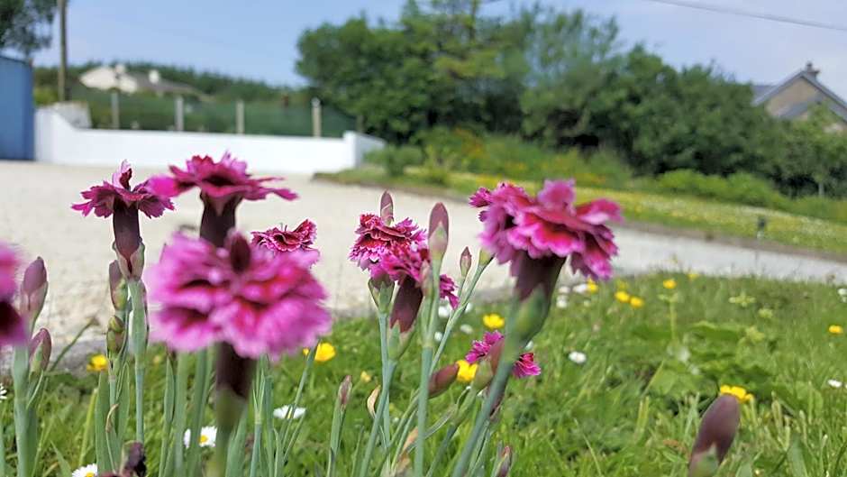 An Charraig Ban on the wild Atlantic way F94WT02