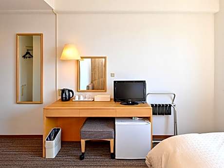 Studio Single Room