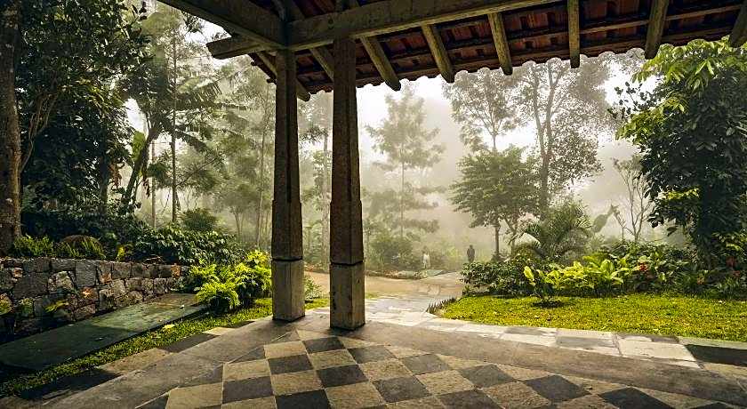 Tree of Life Shambala, Yercaud
