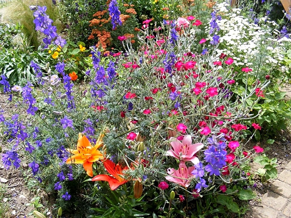 Chambres d'Hôtes Vignes et Loire