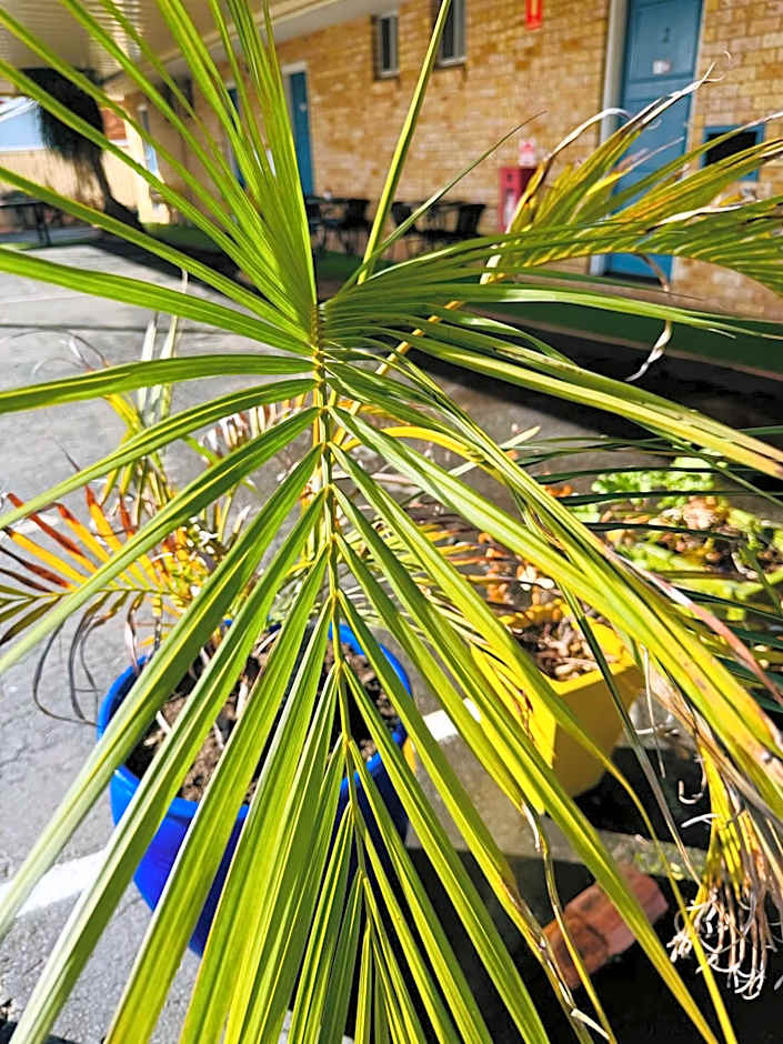 Town and Country Motor Inn