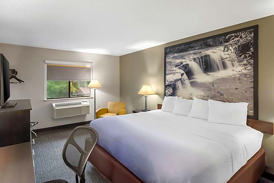Super 8 by Wyndham Elkins