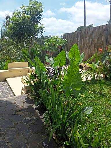 Rania Bamboo Villa by Broga