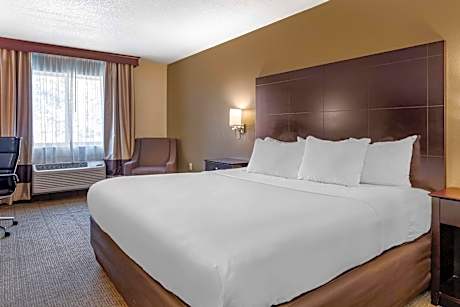 King Room - Non-Smoking