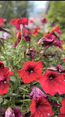 Hotel Civilia Lakeside by Civilia Golf Retreat