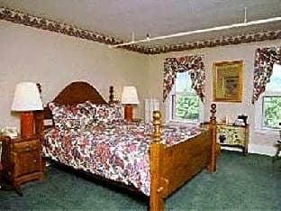Standard Suite with 1 King Bed and Sofabed - No Smoking
