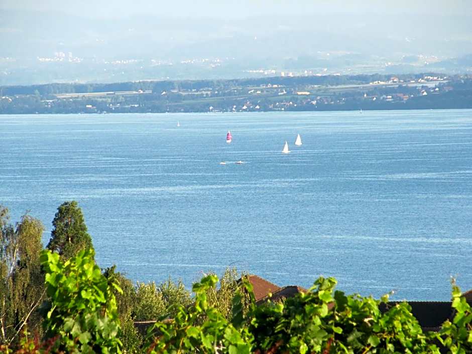 Hotel Villa Seeschau - Adults only