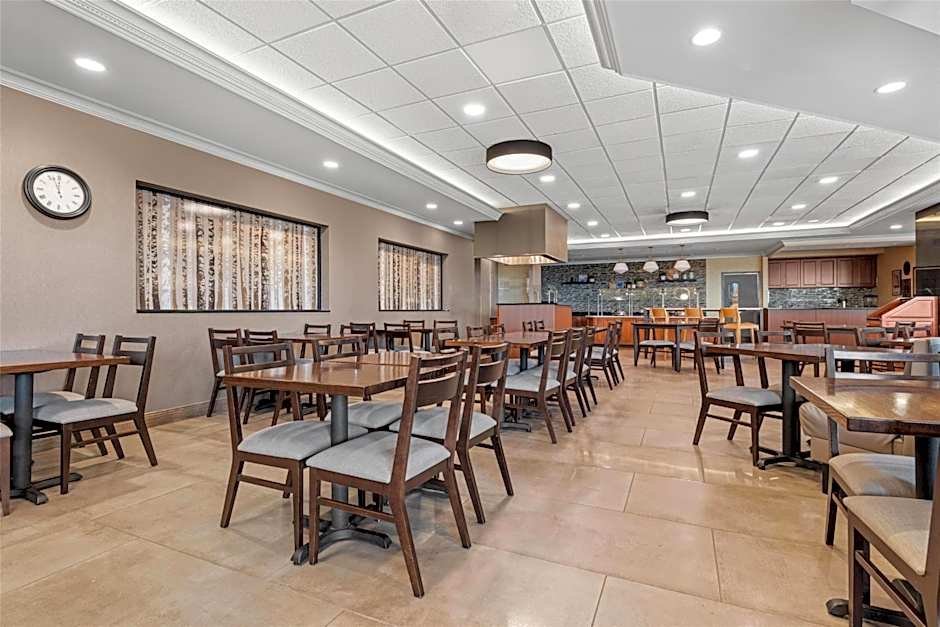 Drury Plaza Hotel St. Louis Creve Coeur