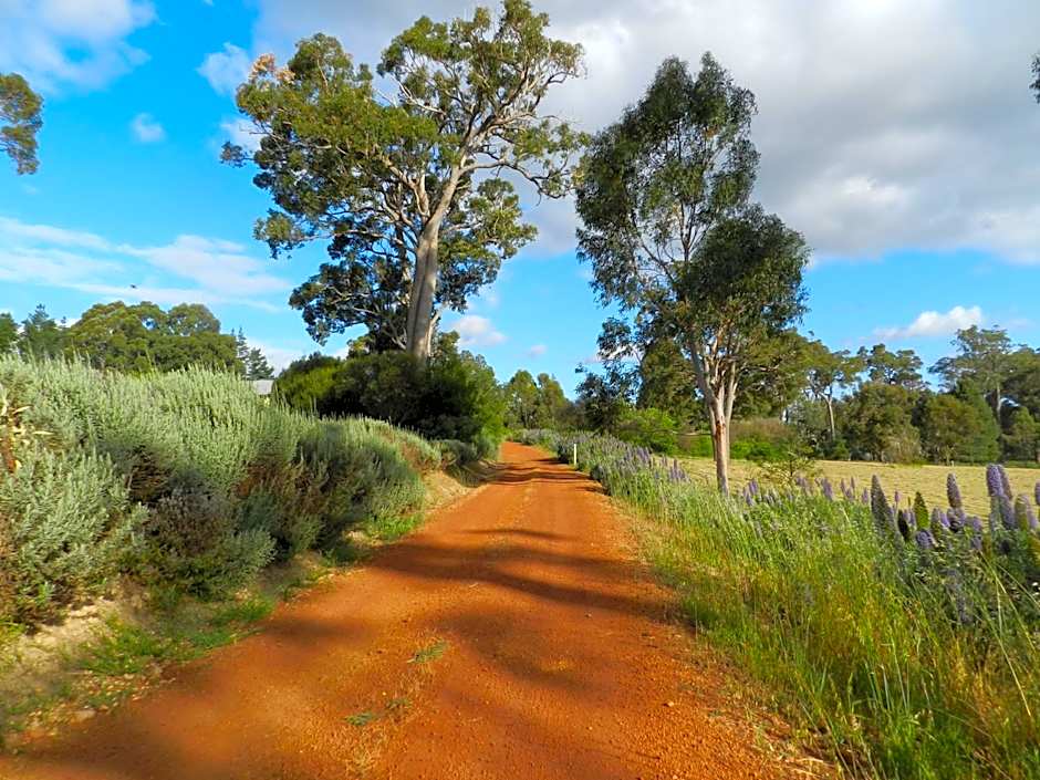 Shambhala Guesthouse