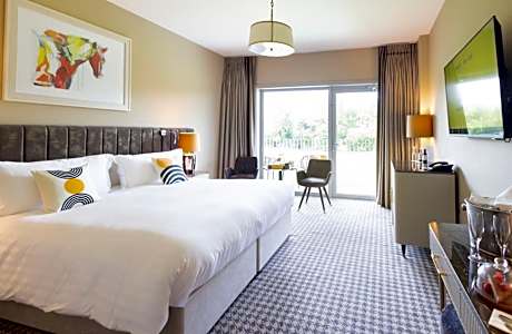 Standard King Room with Paddock View and Terrace - Accessible