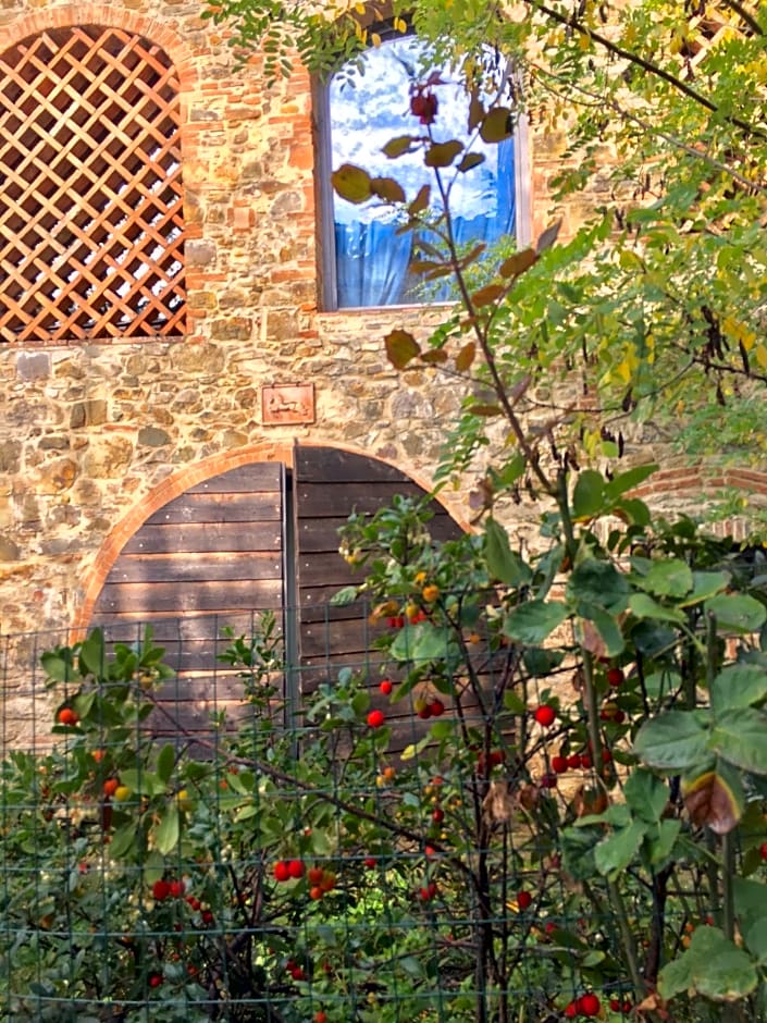 Il Paretaio