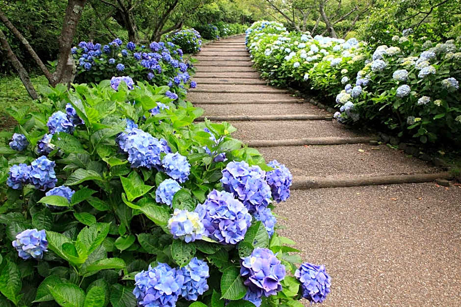 Tabist Hotel New Central