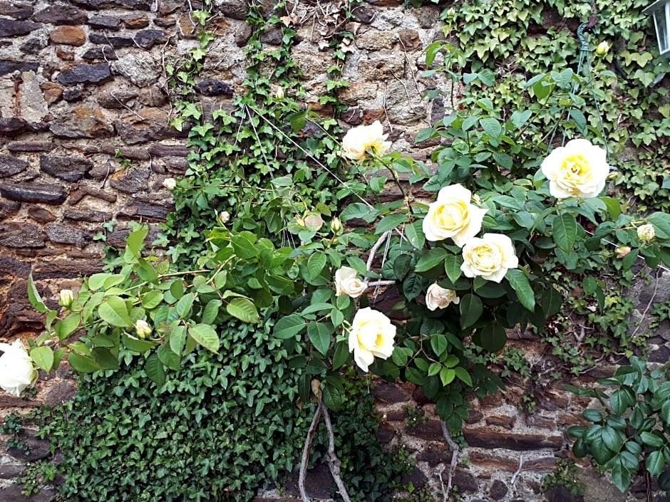 La Maison D'hotes De Constance – Le Mans, AR
