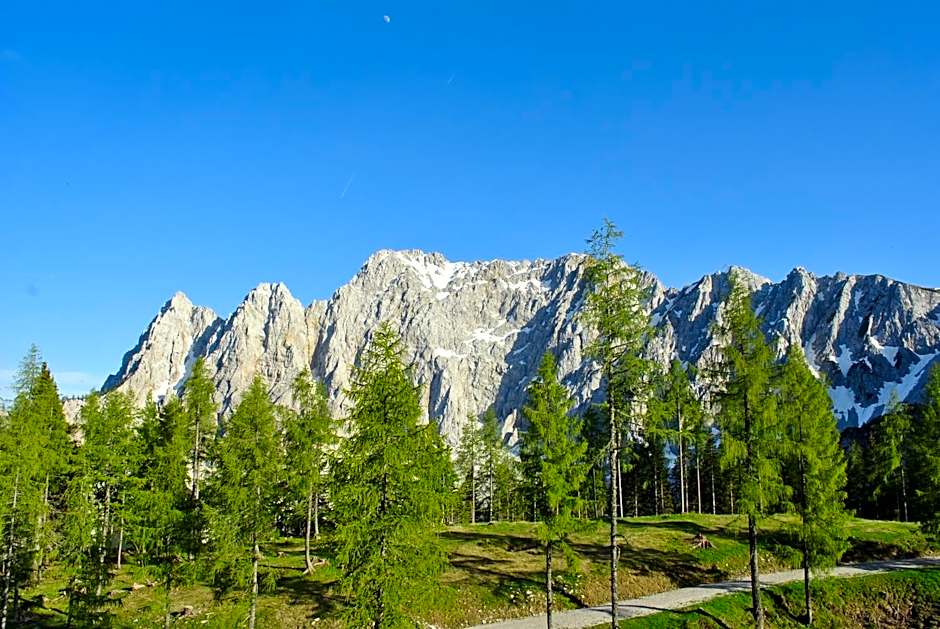 Bed&Breakfast Lausegger