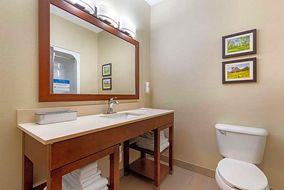 Comfort Suites Cedar Falls