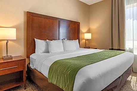 King Suite - Accessible/Non-Smoking