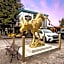 The Bucking Moose