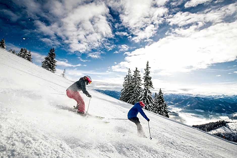 Apart Hotel Alpenhof Werfenweng