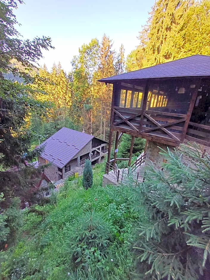 Cabana Zimbru Transfagarasan