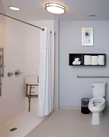 1King Accessible Roll In Shower Suite Nonsmok