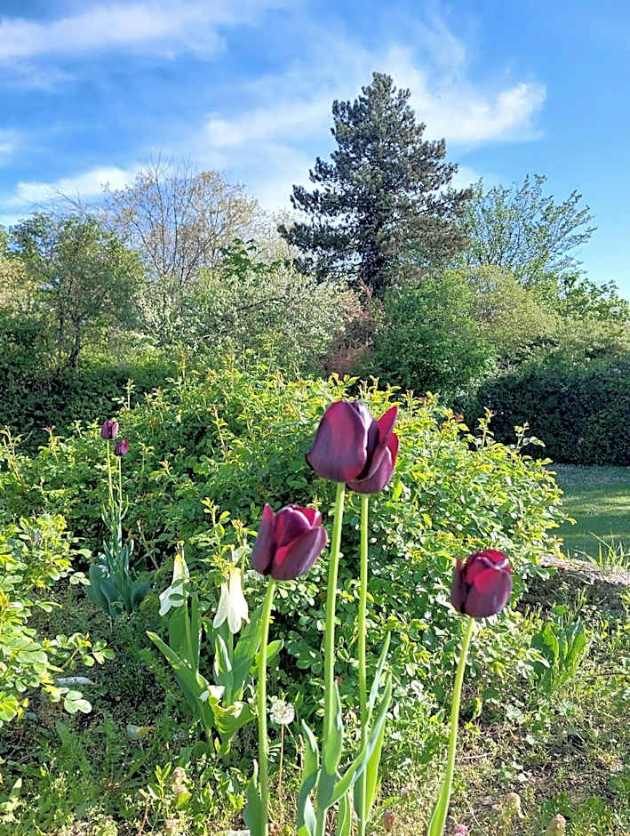 Heinrich Pesch Hotel
