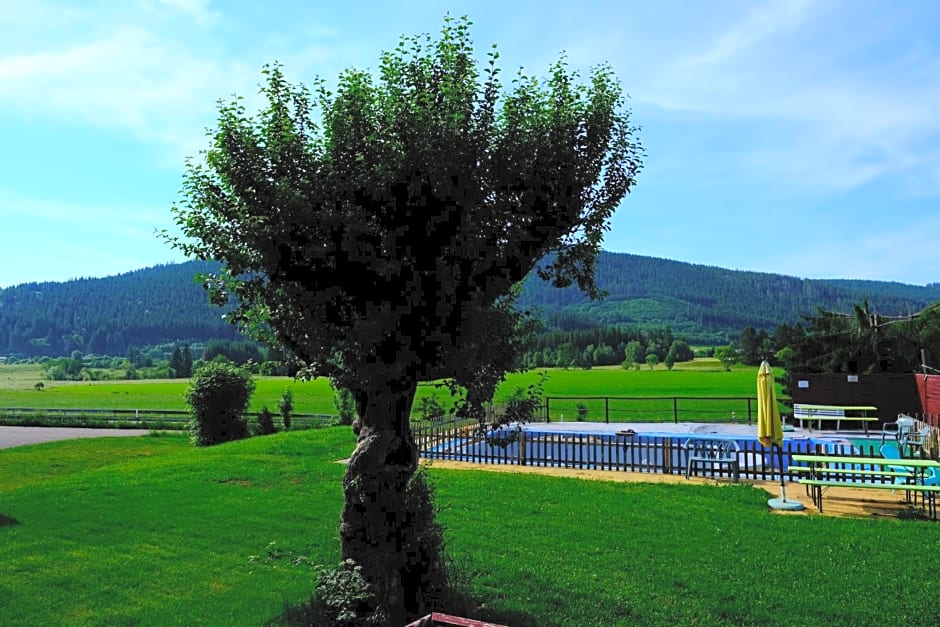 Sonnenmatte Titisee Hotel B und B