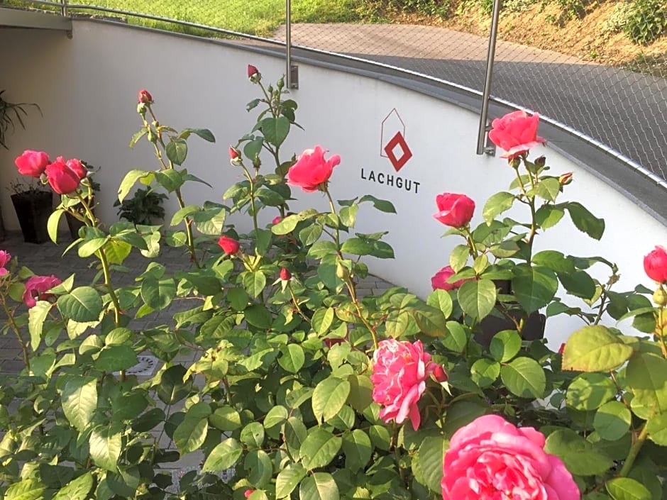 LACHGUT