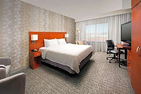 1 King Bed, Guest room, 1 King